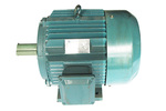 永磁同步變頻電機(jī)；永磁同步電機(jī)；同步電機(jī)；永磁電機(jī)；